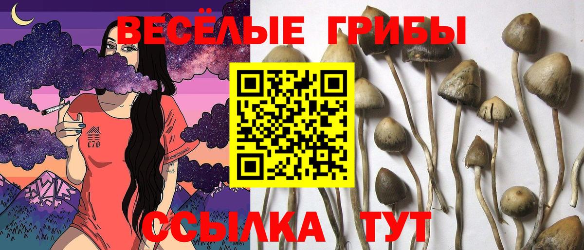 Псилоцибиновые грибы ЛСД Ишимбай